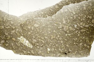 Plane Polarized, S71383