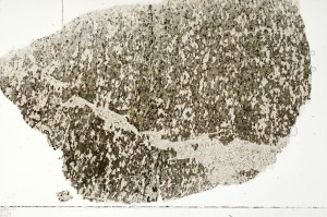 Plane Polarized, S71384