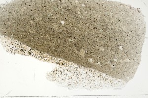 Plane Polarized, S71386