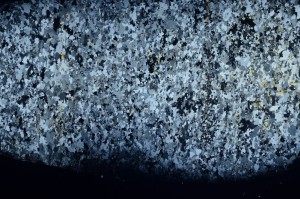 Cross Polarized, S71388