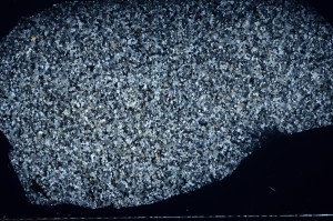 Cross Polarized, S71390