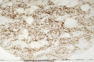 Plane Polarized, S71391