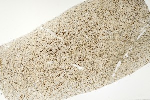 Plane Polarized, S71392