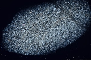 Cross Polarized, S71395