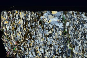 Cross Polarized, S71404