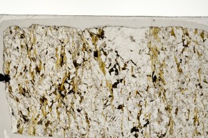 Plane Polarized, S71404