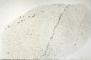 Plane Polarized, S71409