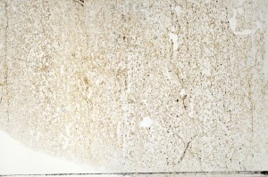 Plane Polarized, S71410