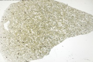 Plane Polarized, S71414