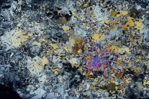 Cross Polarized, S71415