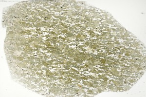 Plane Polarized, S71416