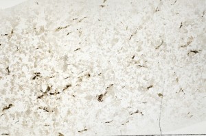 Plane Polarized, S71417