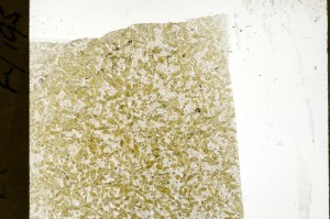 Plane Polarized, S71421