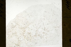 Plane Polarized, S71423