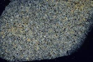 Cross Polarized, S71424