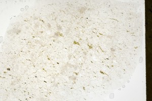 Plane Polarized, S71425