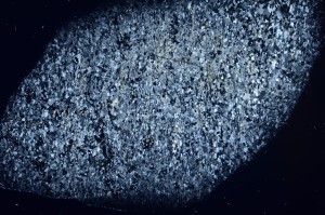 Cross Polarized, S71429