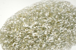 Plane Polarized, S71430