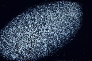 Cross Polarized, S71431