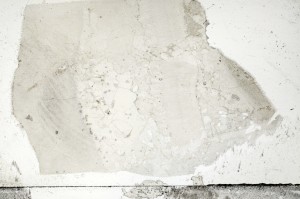 Plane Polarized, S71432