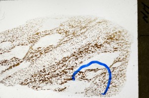 Plane Polarized, S71446