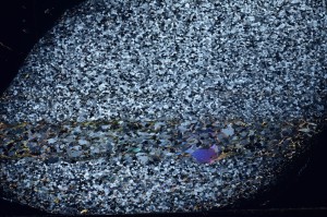 Cross Polarized, S71447