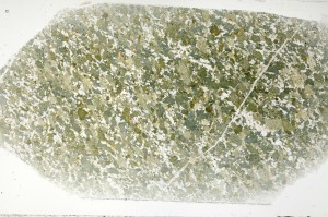 Plane Polarized, S71449