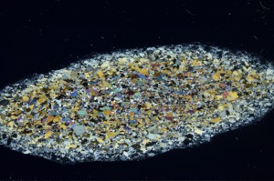 Cross Polarized, S71451