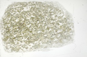 Plane Polarized, S71452