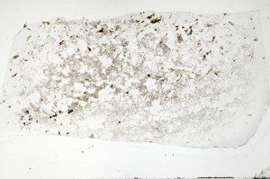 Plane Polarized, S71461
