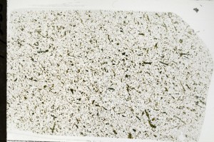 Plane Polarized, S71463