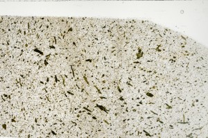 Plane Polarized, S71464