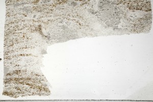 Plane Polarized, S71506/B