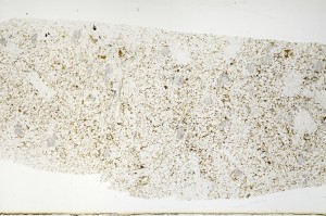 Plane Polarized, S71507