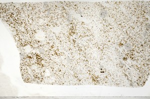 Plane Polarized, S71507/A