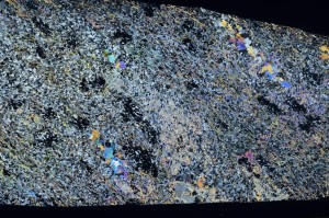 Cross Polarized, S71508