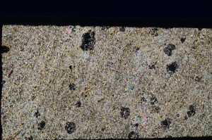 Cross Polarized, S71509