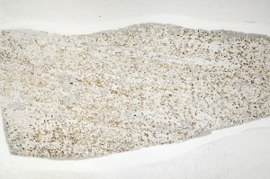 Plane Polarized, S71509/A