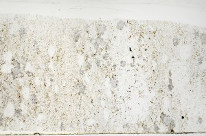 Plane Polarized, S71511