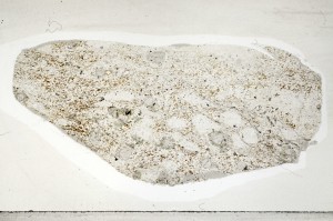 Plane Polarized, S71511/A