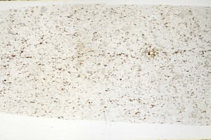 Plane Polarized, S71516