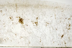 Plane Polarized, S71517