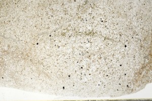 Plane Polarized, S71519