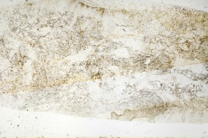 Plane Polarized, S71533