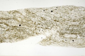 Plane Polarized, S71541