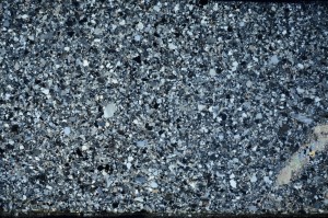 Cross Polarized, S71582