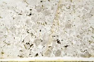 Plane Polarized, S71686