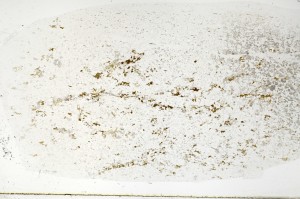 Plane Polarized, S71687