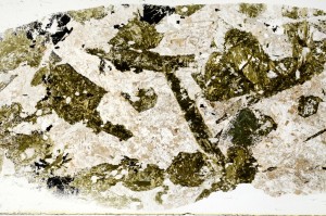 Plane Polarized, S71694