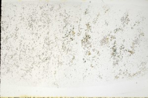 Plane Polarized, S71699
